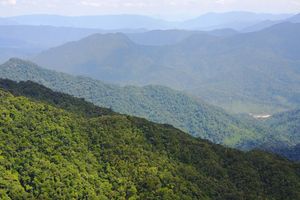 Actividad - Excursión al Parque Nacional Bach Ma