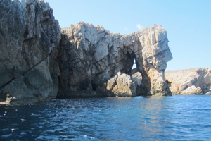Actividad - Snorkel en la Reserva Marina de Menorca en lancha rápida desde Fornells - Tour en grupo pequeño