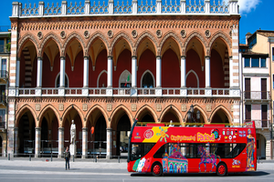 Actividad - City Sightseeing Padua