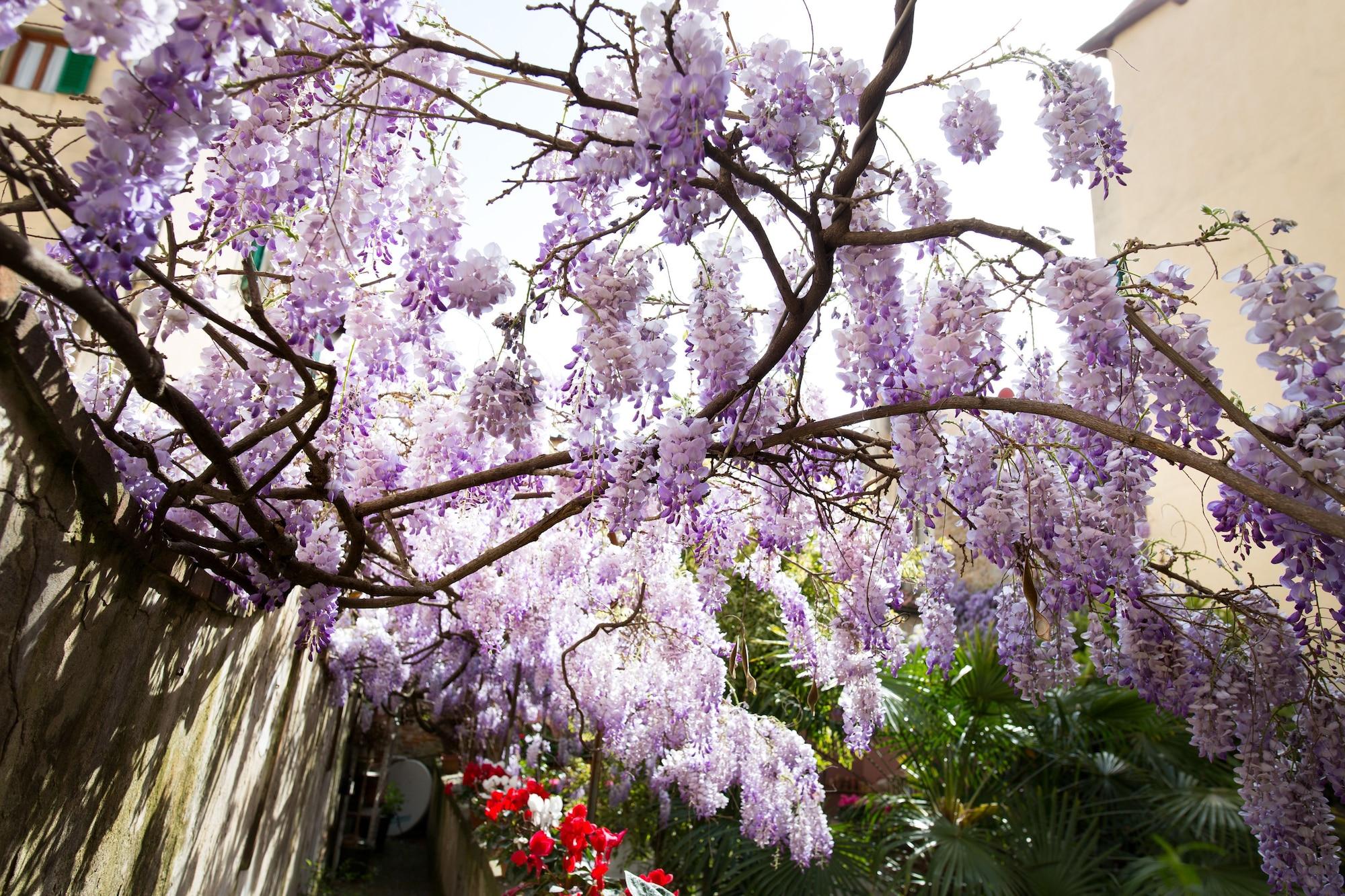 Vista Exterior Locanda Orchidea - B&B