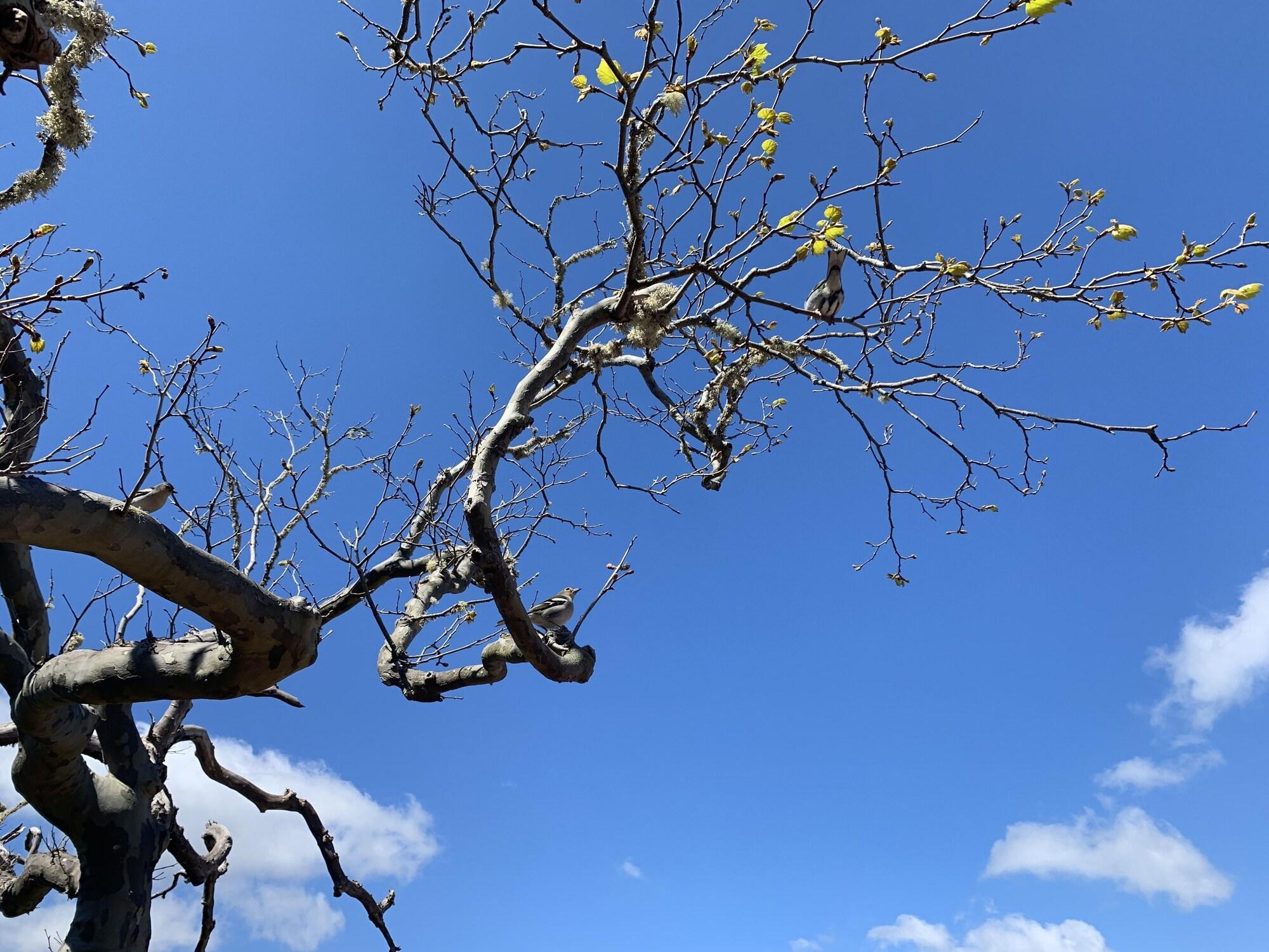 Instalaciones Recreativas Casa do Ribeiro Frio