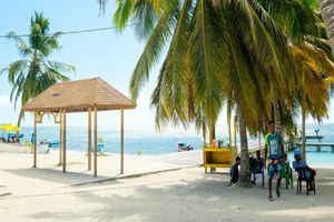 Actividad - Explore Saona Island VIP (Three Beaches + Natural Pool) - Full-Day Tour