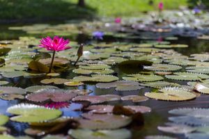 Alojamiento - TONG YI Homestay