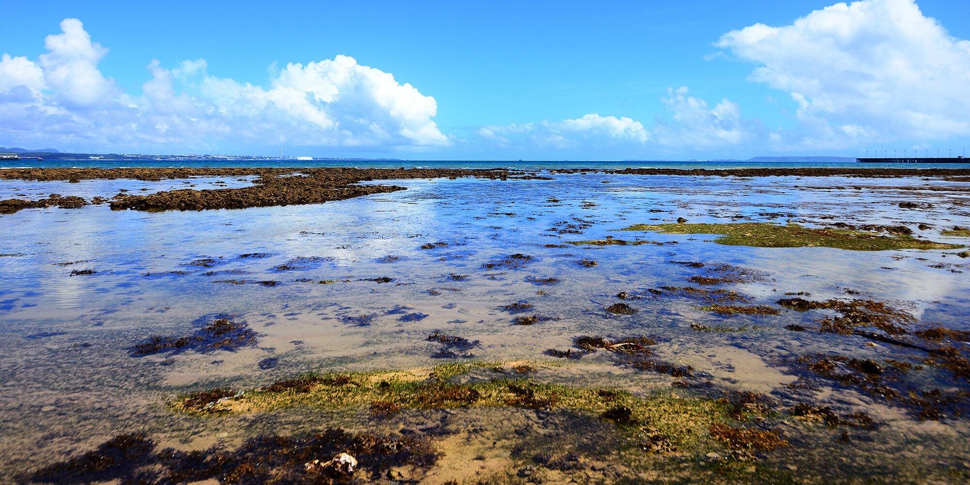 Playa SOU Higashi-Onna