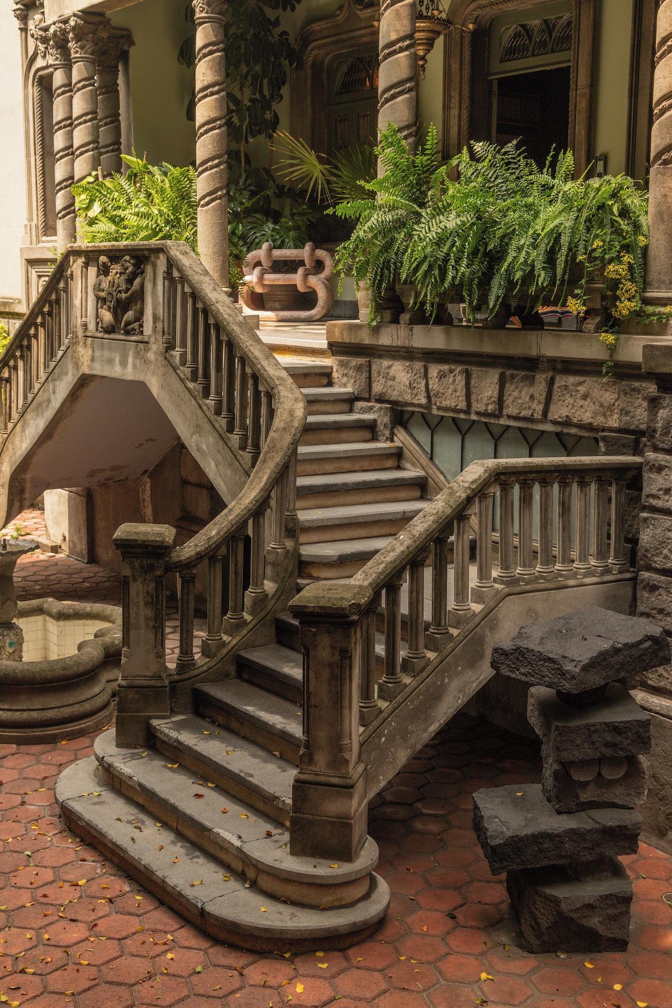 Varios Maison Lezard