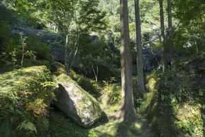 Alojamiento - Auberge Funoki