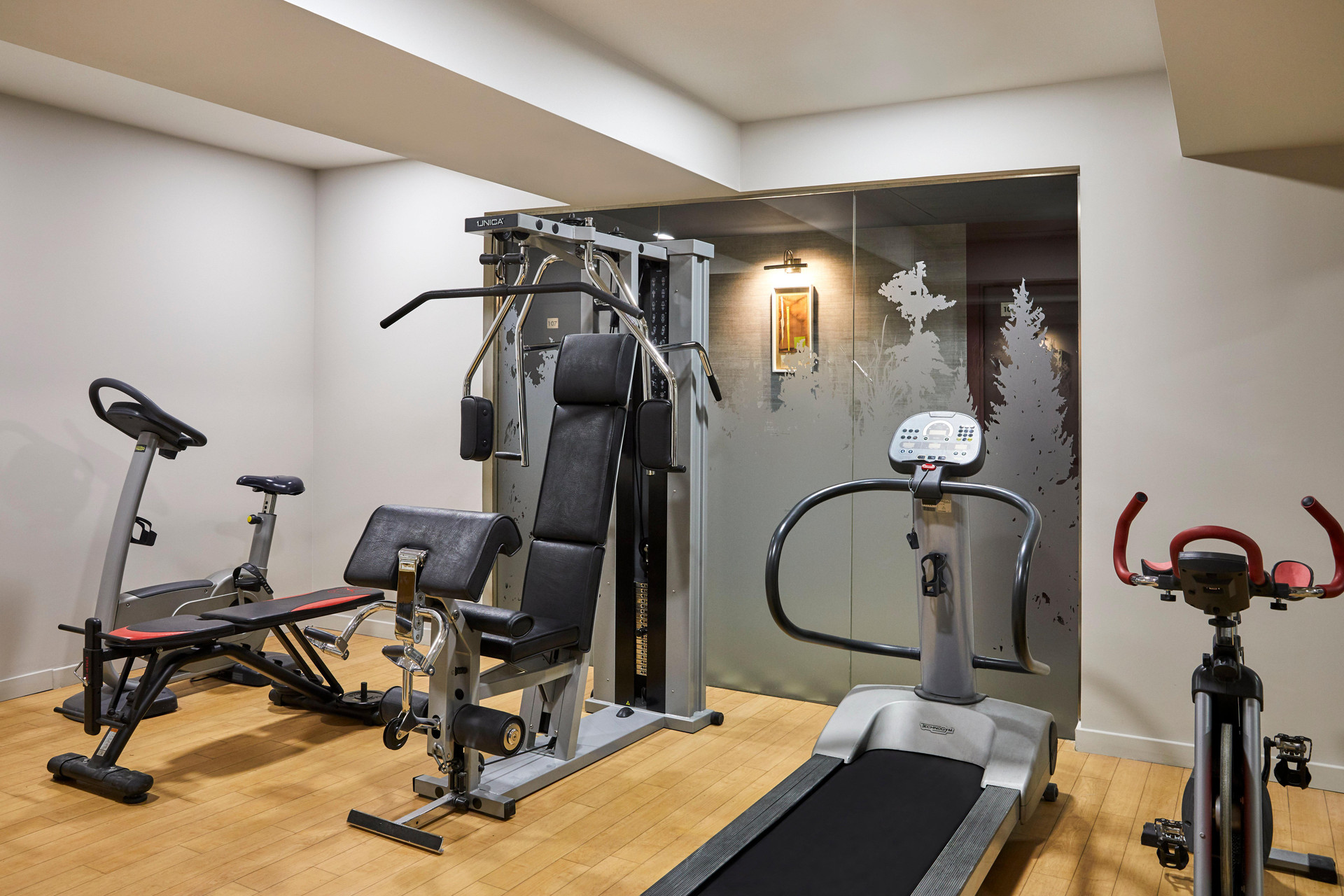 Gimnasio Hotel Indigo Madrid - Princesa by IHG