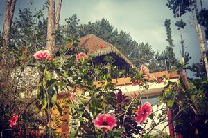 Alojamiento - La Semilla Ecolodge