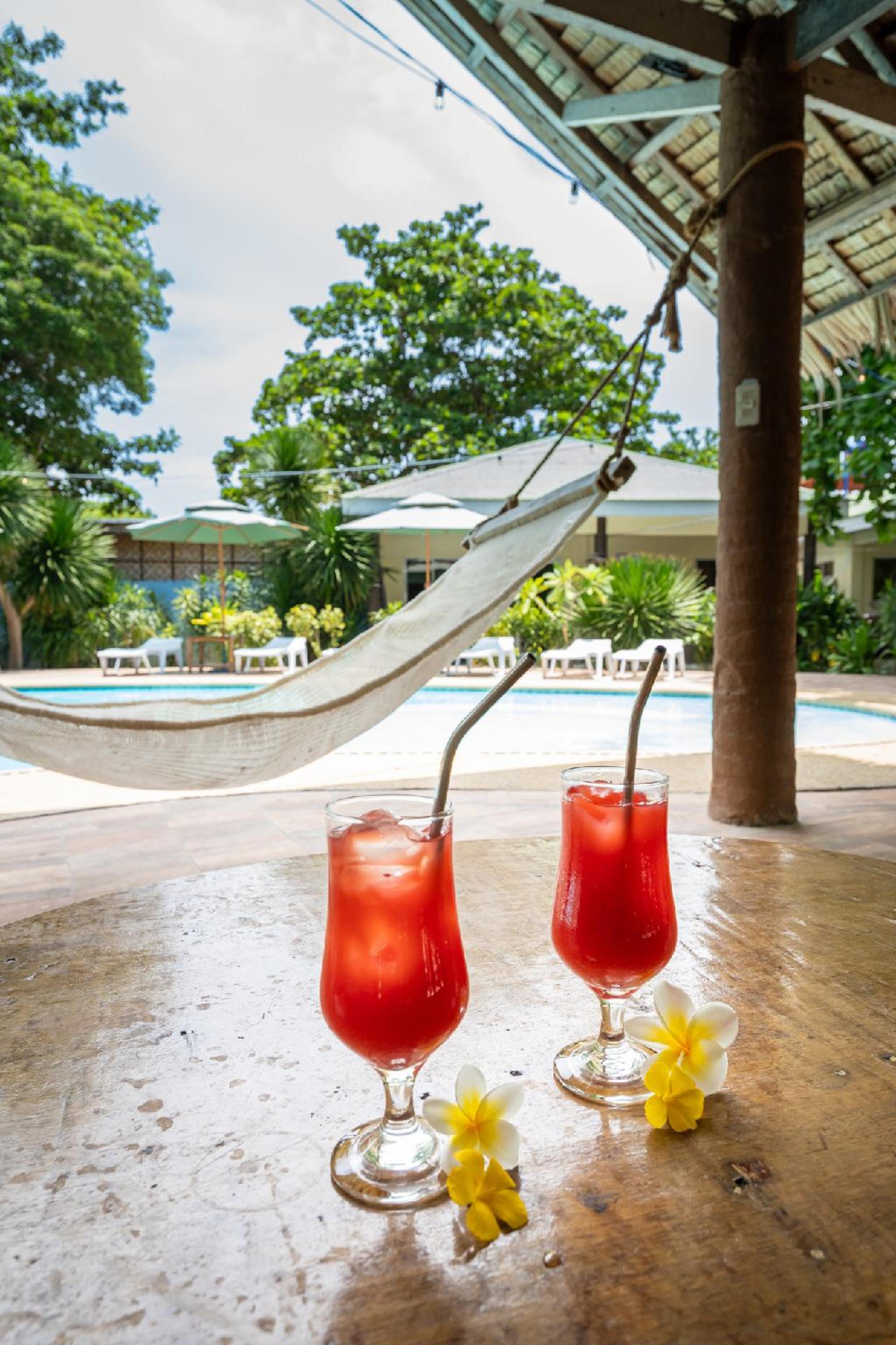 Vista Piscina The Sharks Tail Dive Center