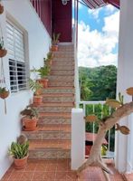 Alquiler Vacacional - Great Palm View - Apartment 3 in Villa Coconut