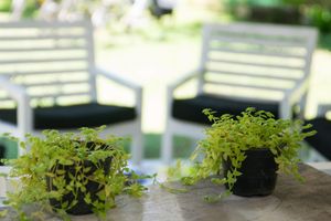 Alojamiento - Feel Beach Apartments