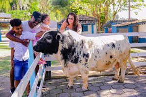 Alojamiento - Vale Encantado Eco Park & Hotel