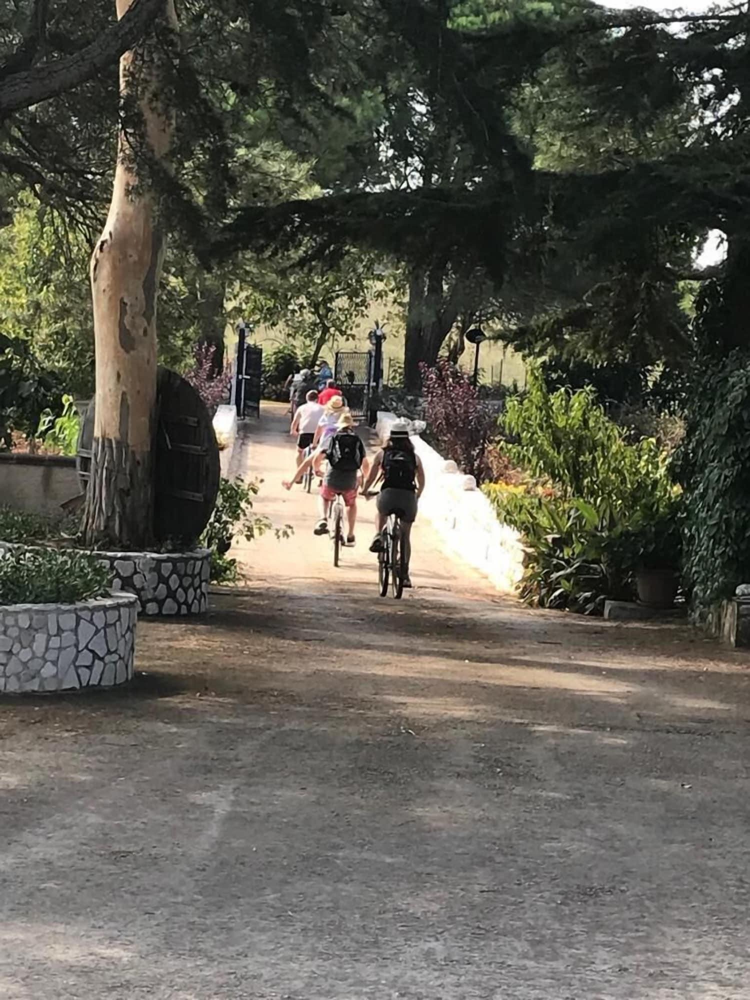 Varios B&B Mandorla Amara