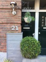 Alojamiento - Vondelpark House Bed&Breakfast