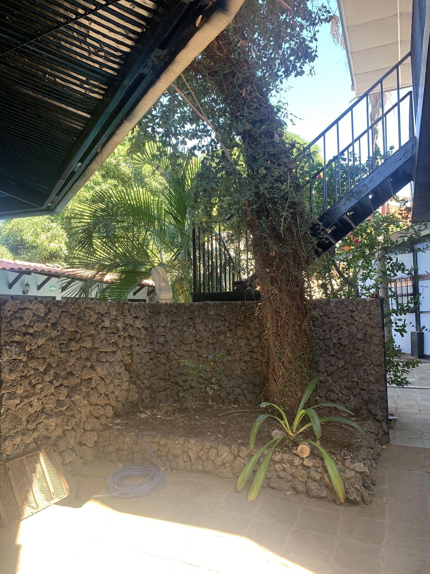 Vista Exterior Hotel Las Cabañitas