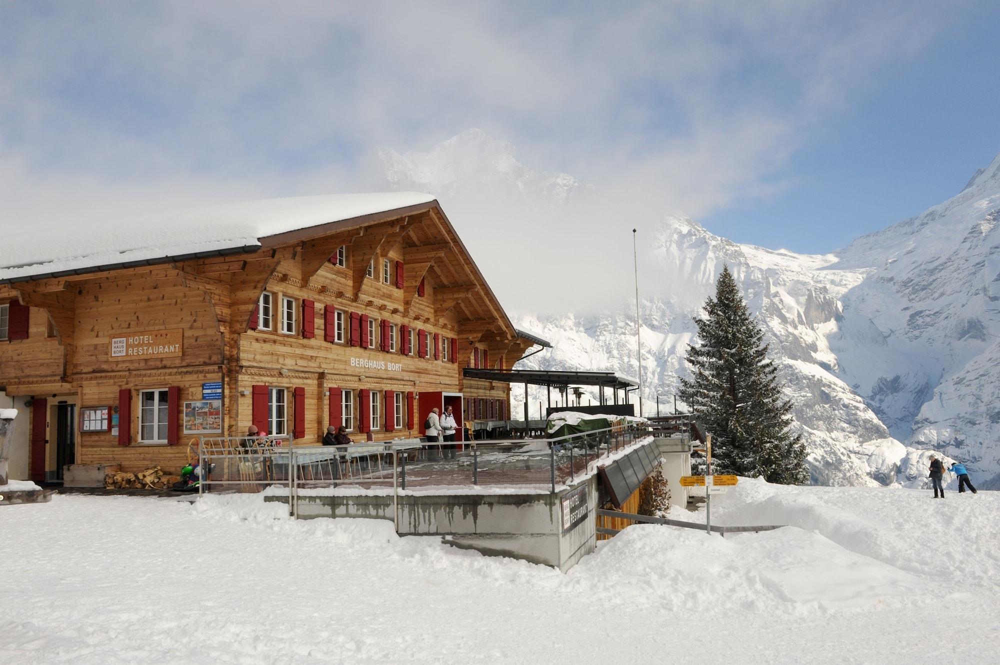 Vista Exterior Alpinhotel Bort