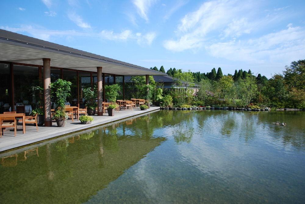 Vista Piscina Koyaru Forest Garden