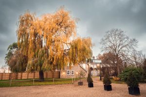 Alojamiento - Rectory Farm