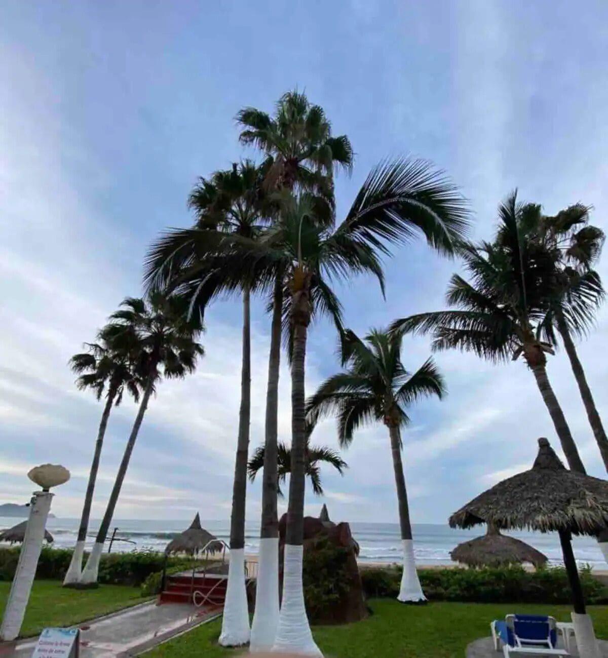 Spa Departamentos QM2