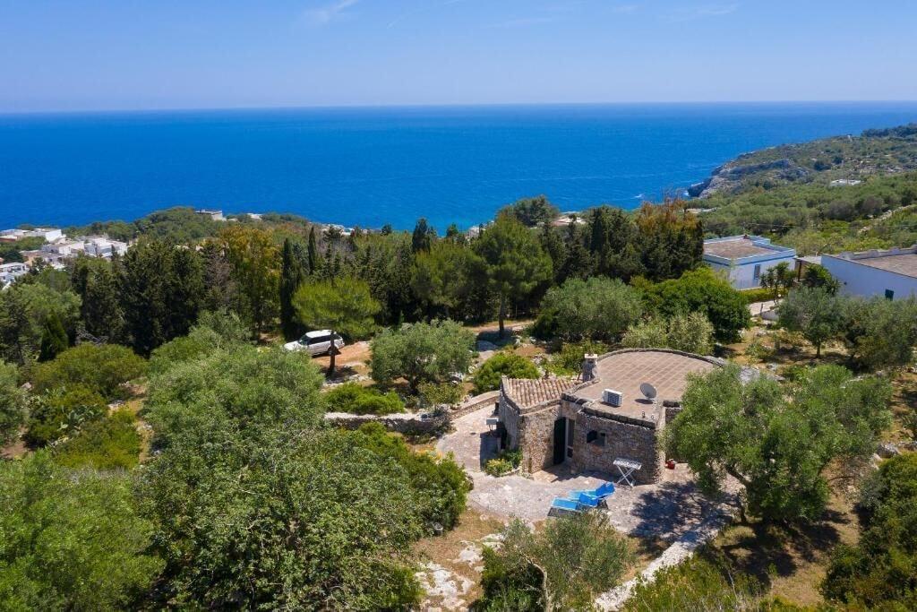 Vista Exterior Pajara Rugiada