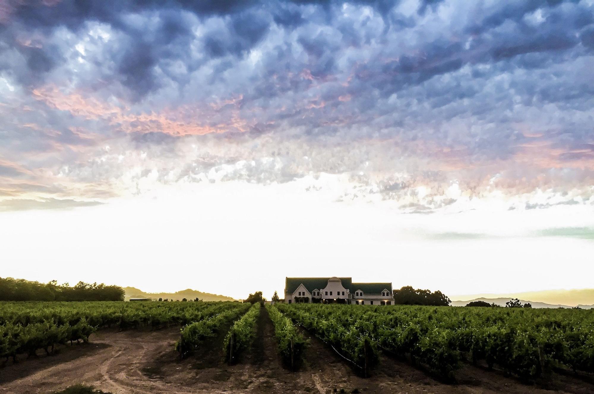 Vista Exterior CANA Vineyard Guesthouse