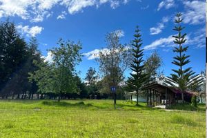 Paquete - Grandfather´s Farm - Disfruta de la Naturaleza en un Lindo Flat