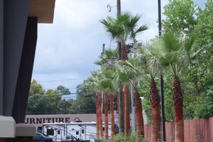 Alojamiento - Comfort Suites Lake Charles