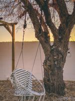 Alquiler Vacacional - Olive Village