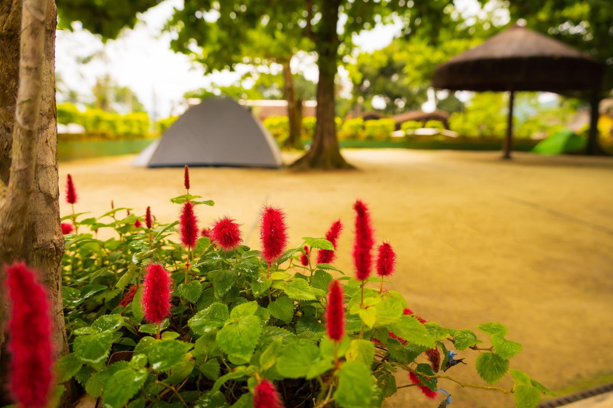 Varios Raio de Sol Pousada & Camping