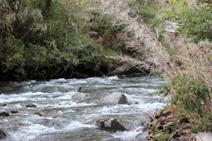 Alquiler Vacacional - Lodge Palguin Alto
