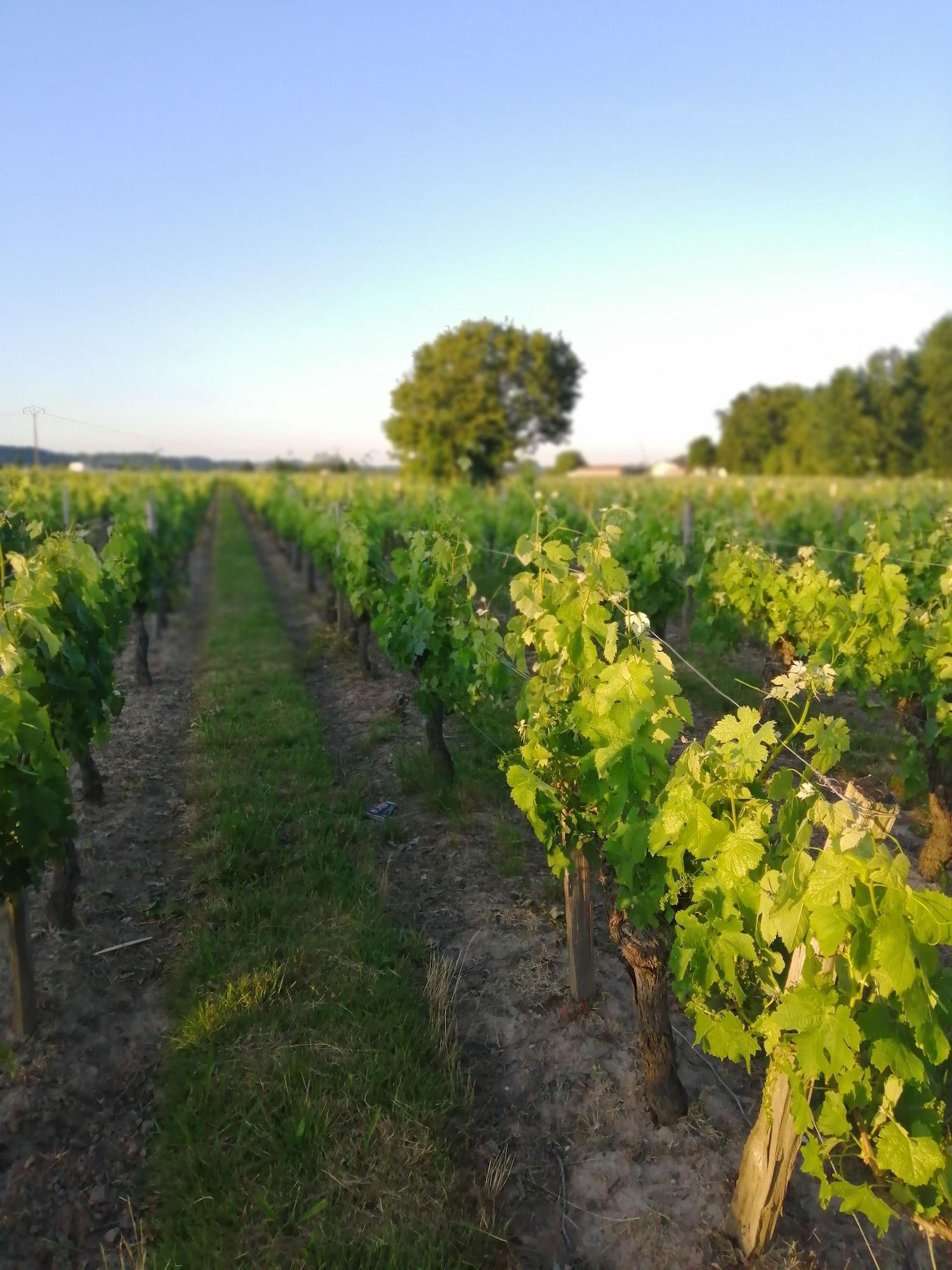 Equipamiento de Habitación Chambres Peyroutas