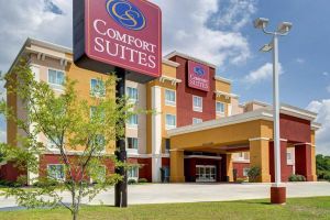 Alojamiento - Comfort Suites Denham Springs