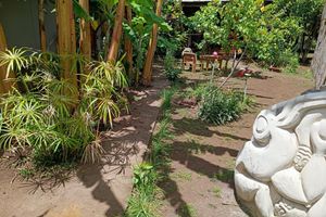 Pacote - Hostal Oreko