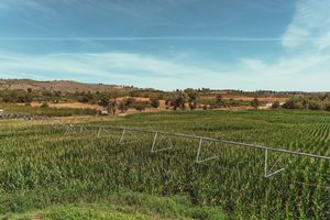 Alojamiento - Quinta Ponte da Capinha