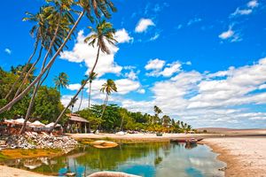 Paquete - Pousada Tropical Brasil Jeri