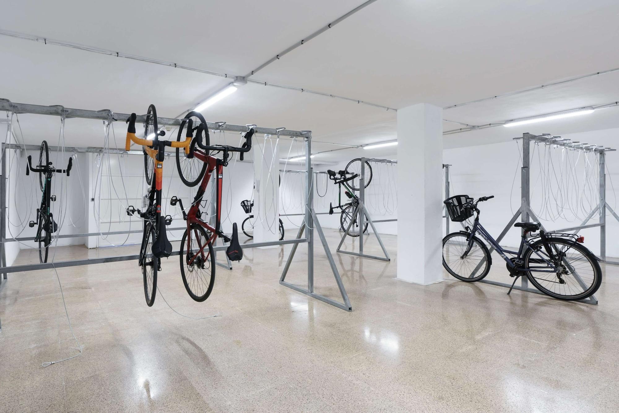 Gimnasio Alua Leo Hotel