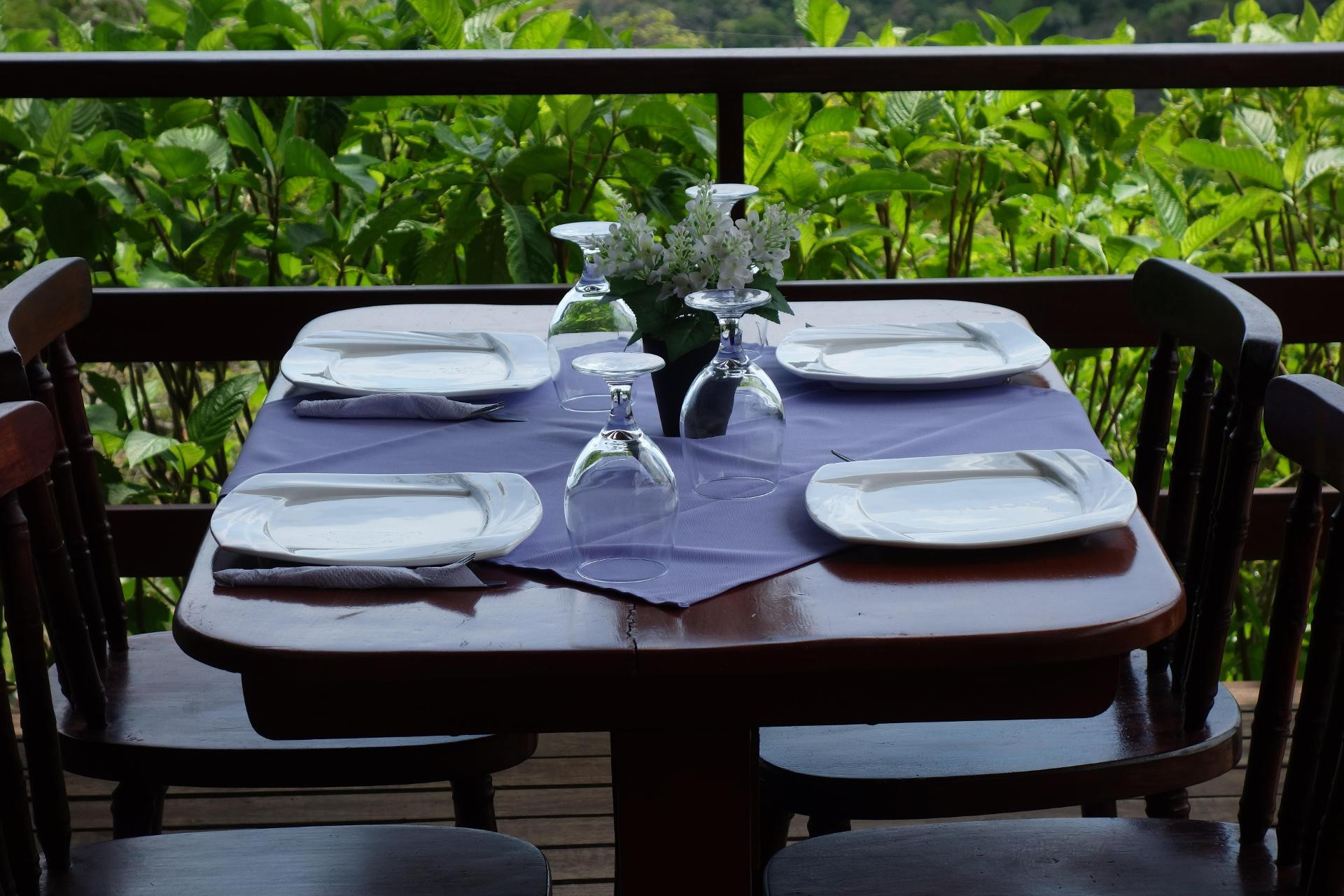 Restaurant Adventure Park & Hotel Vista Golfo