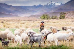 Actividad - Quebrada de Humahuaca