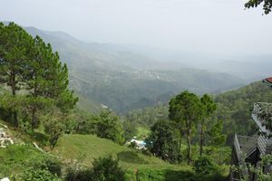 Alojamiento - Green Palms Rubystone Exotic