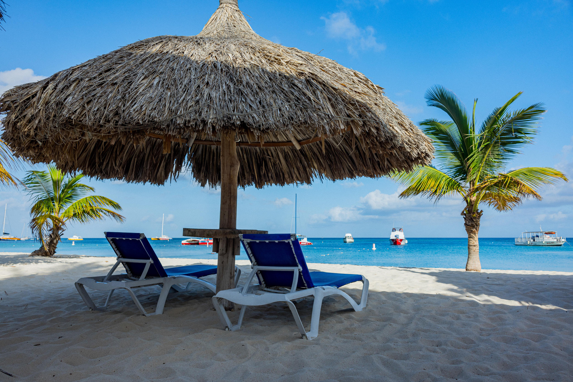 Playa TRYP by Wyndham Aruba