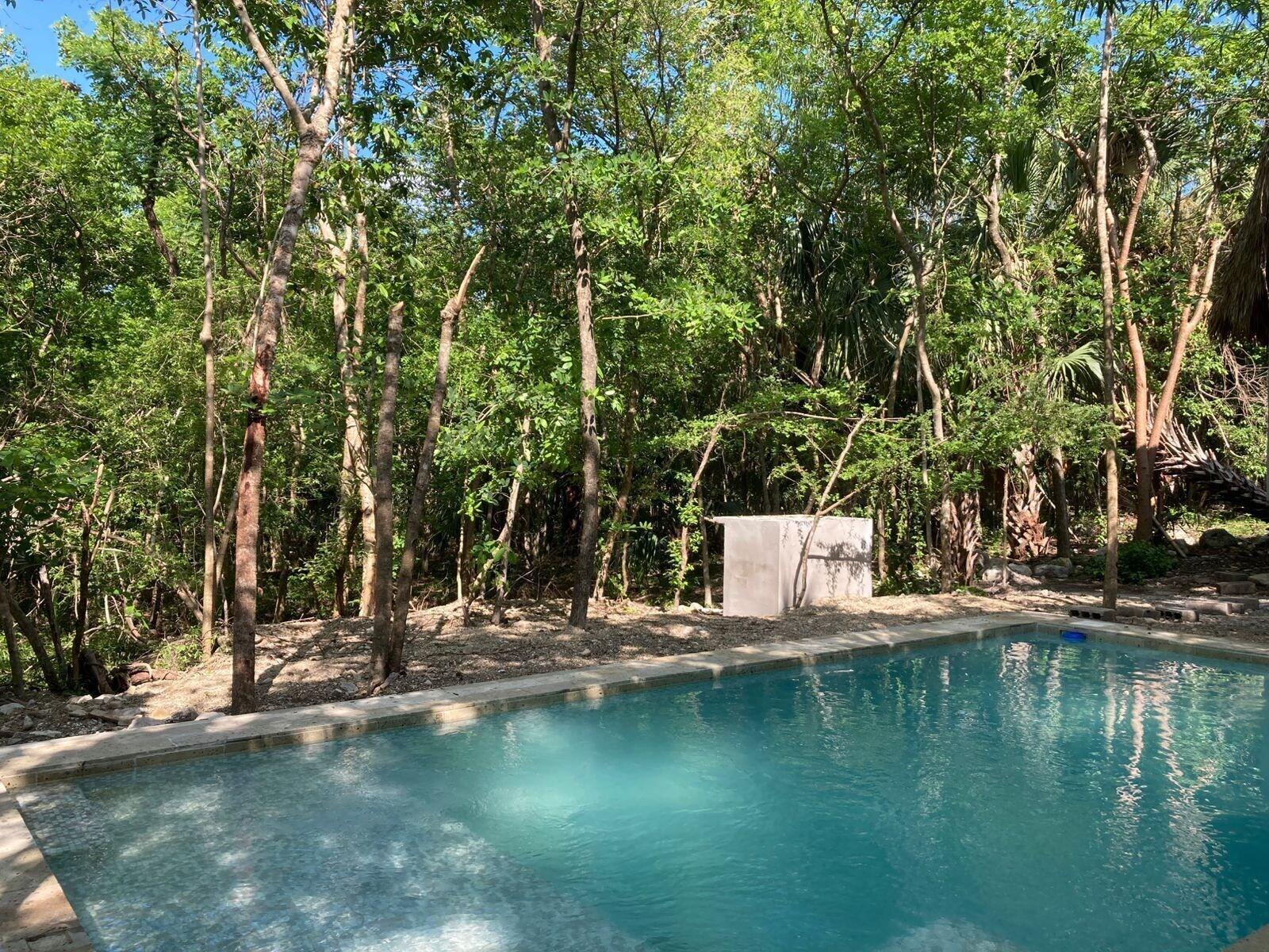 Vista Piscina Selva Teenek