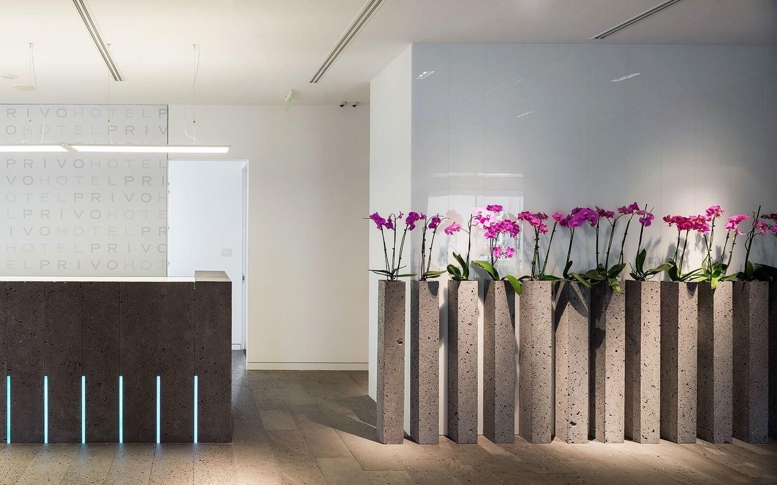 Vista Lobby Villa Csonka by Hotel Privo
