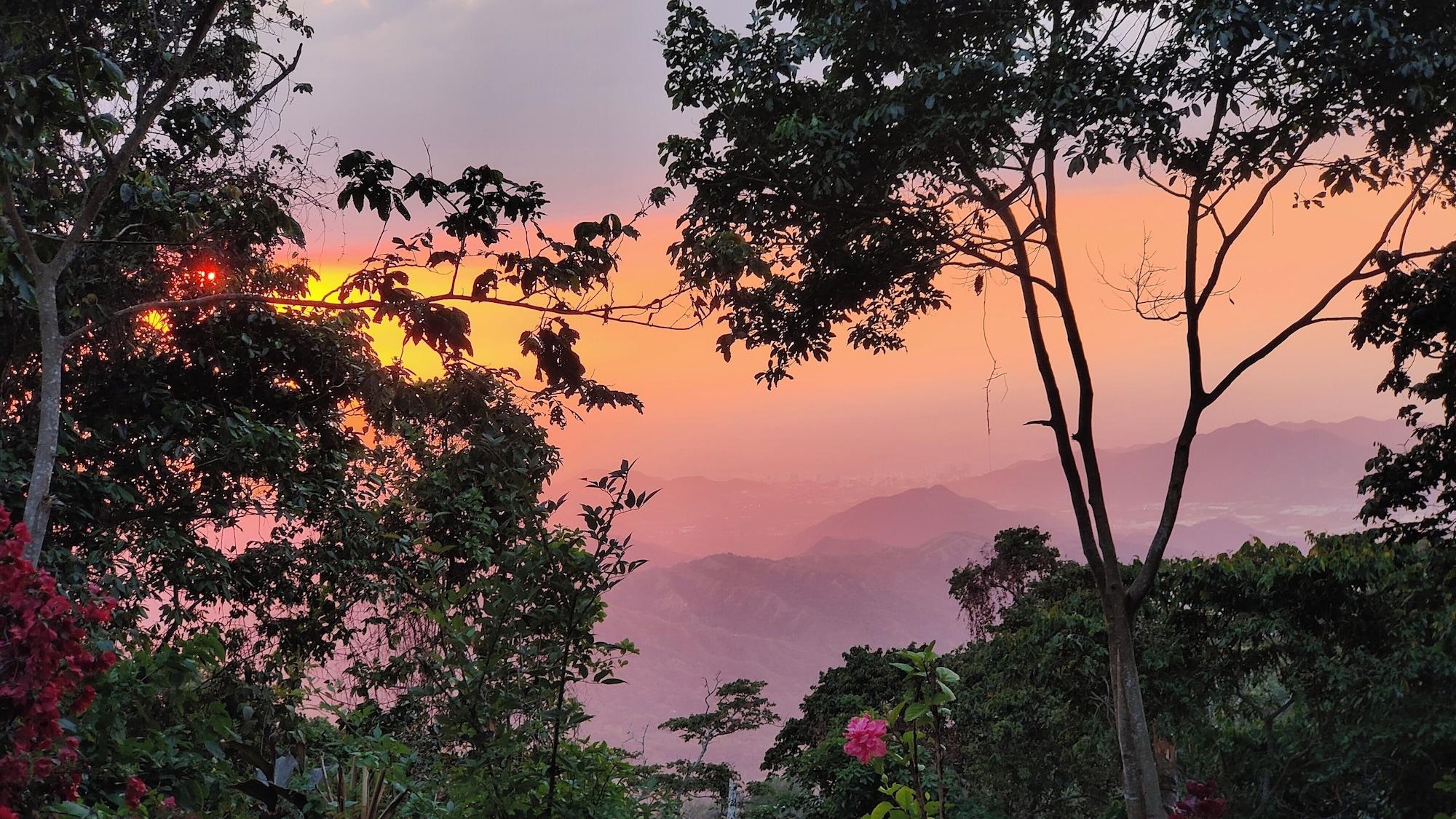 Vista Exterior Minca Sintropia Organic Coffee Finca