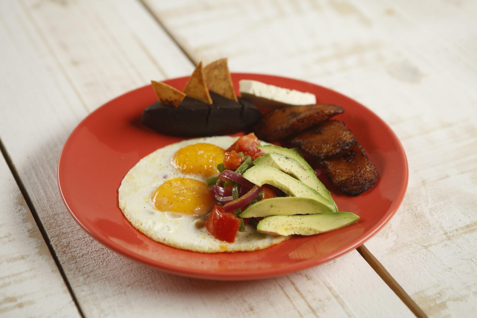 Restaurant Jungle Lodge Hotel