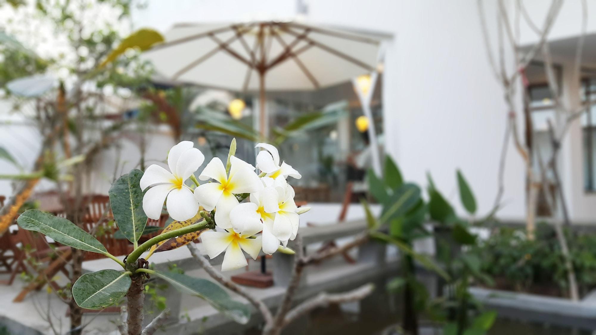 Vista Exterior Chez Moi Suite and Spa