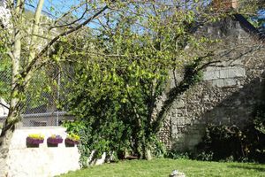 Alojamiento - Hotel Le Castel Fleuri