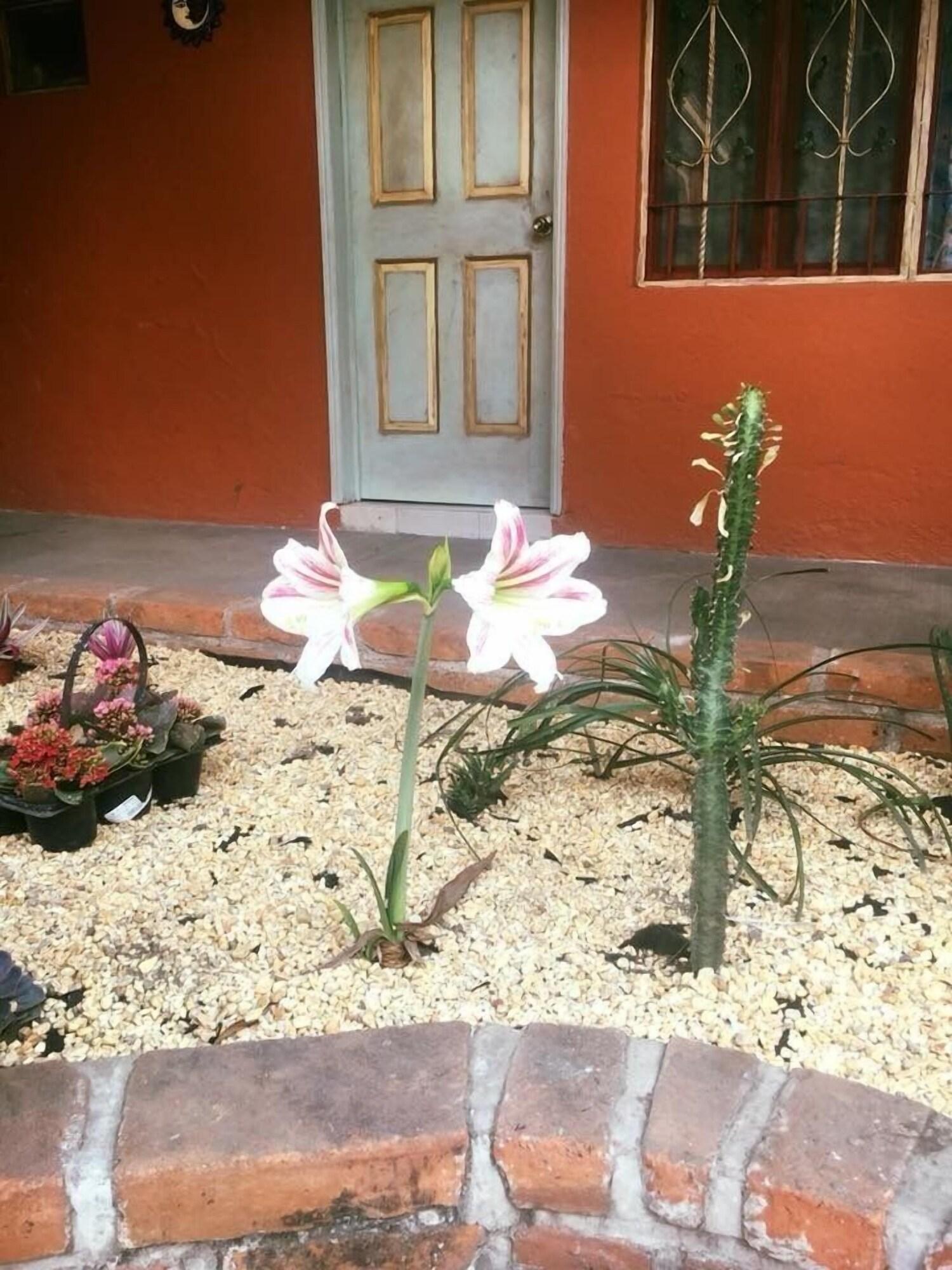 Vista Exterior Hotel Posada Andaluz