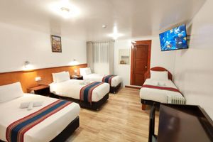 Alojamiento - Saphi Inn Cusco