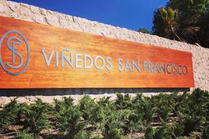 Alojamiento - Viñedos San Francisco