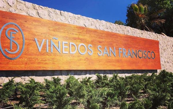 Viñedos San Francisco - Hoteles 3 estrellas en San Miguel de Allende, Guanajuato